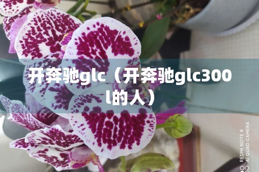 开奔驰glc（开奔驰glc300l的人）