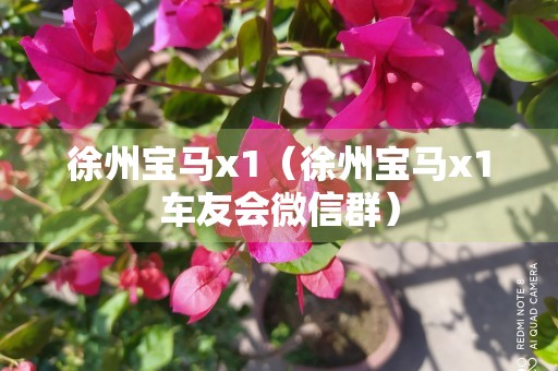 徐州宝马x1（徐州宝马x1车友会微信群）