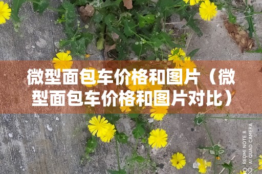 微型面包车价格和图片（微型面包车价格和图片对比）