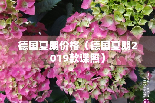 德国夏朗价格（德国夏朗2019款谍照）