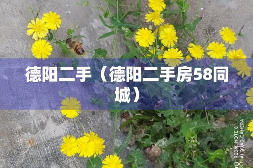 德阳二手（德阳二手房58同城）