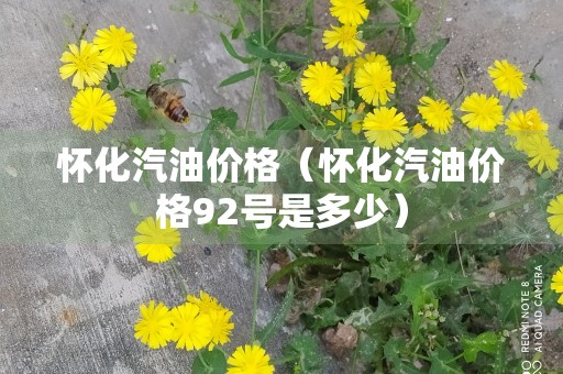 怀化汽油价格（怀化汽油价格92号是多少）