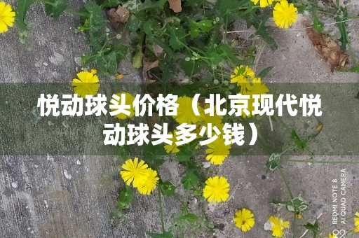 悦动球头价格（北京现代悦动球头多少钱）