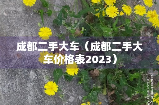 成都二手大车（成都二手大车价格表2023）