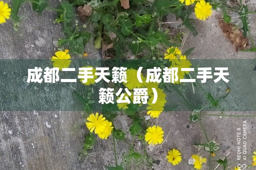 成都二手天籁（成都二手天籁公爵）