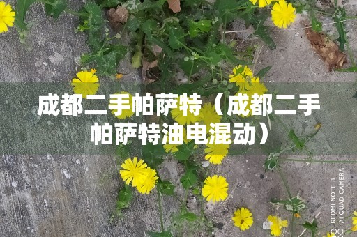 成都二手帕萨特（成都二手帕萨特油电混动）