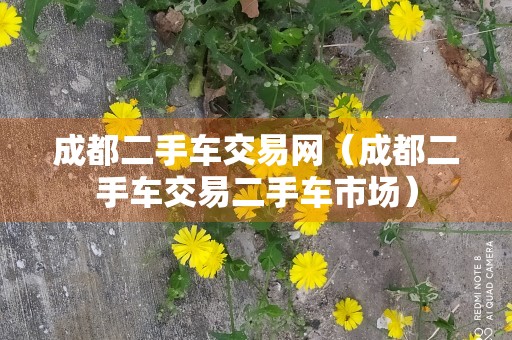 成都二手车交易网（成都二手车交易二手车市场）