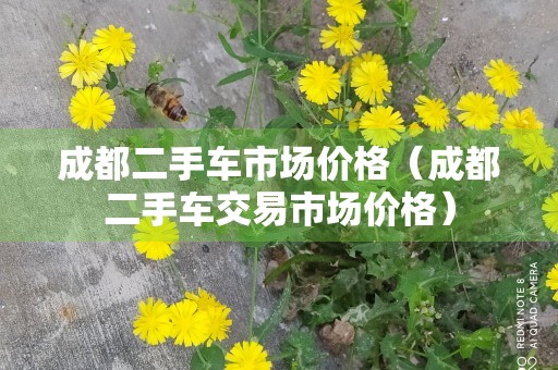 成都二手车市场价格（成都二手车交易市场价格）