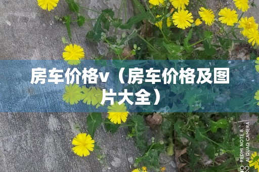 房车价格v（房车价格及图片大全）