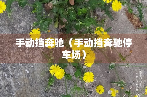 手动挡奔驰（手动挡奔驰停车场）