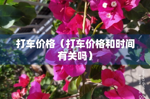 打车价格（打车价格和时间有关吗）