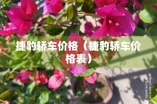 捷豹轿车价格（捷豹轿车价格表）