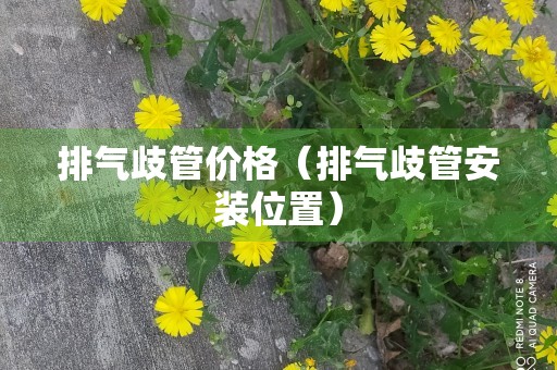 排气歧管价格（排气歧管安装位置）