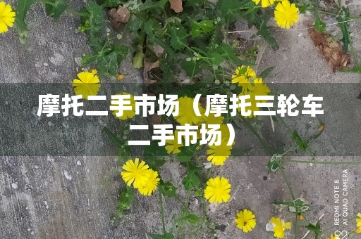 摩托二手市场（摩托三轮车二手市场）