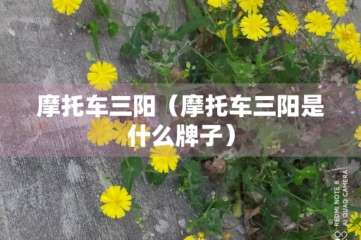 摩托车三阳（摩托车三阳是什么牌子）