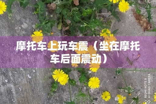 摩托车上玩车震（坐在摩托车后面震动）