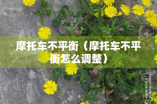 摩托车不平衡（摩托车不平衡怎么调整）