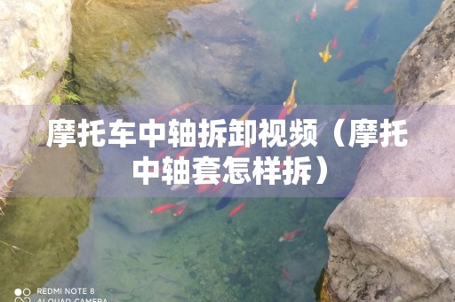 摩托车中轴拆卸视频（摩托中轴套怎样拆）