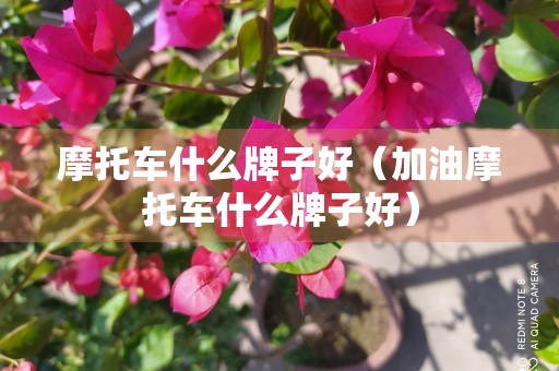 摩托车什么牌子好（加油摩托车什么牌子好）