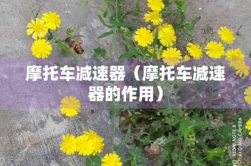 摩托车减速器（摩托车减速器的作用）