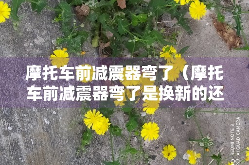 摩托车前减震器弯了（摩托车前减震器弯了是换新的还是换内管）