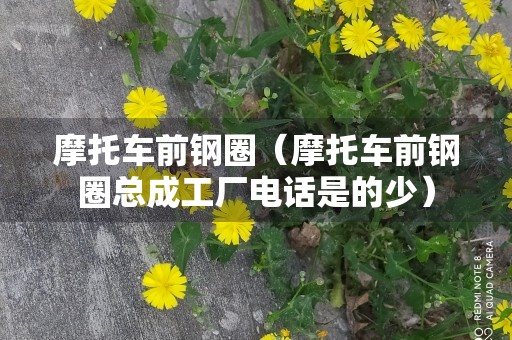 摩托车前钢圈（摩托车前钢圈总成工厂电话是的少）