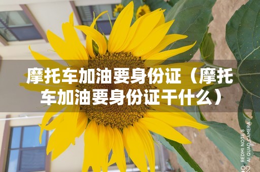 摩托车加油要身份证（摩托车加油要身份证干什么）