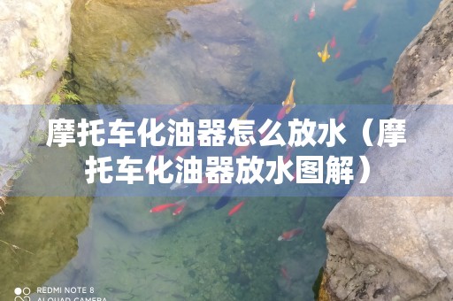 摩托车化油器怎么放水（摩托车化油器放水图解）