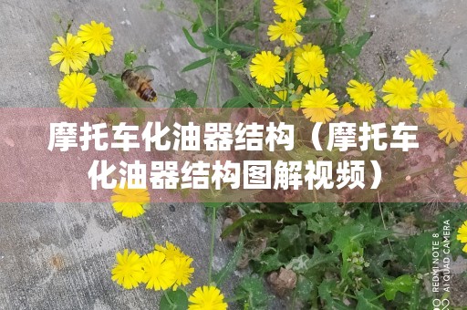 摩托车化油器结构（摩托车化油器结构图解视频）