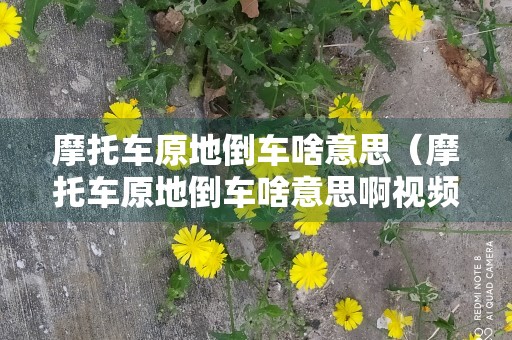 摩托车原地倒车啥意思（摩托车原地倒车啥意思啊视频）