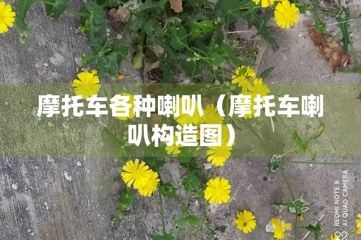 摩托车各种喇叭（摩托车喇叭构造图）