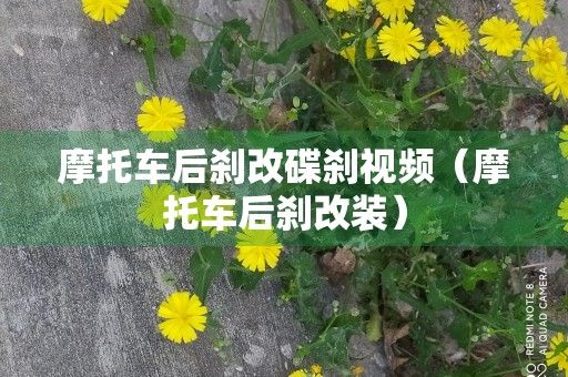 摩托车后刹改碟刹视频（摩托车后刹改装）