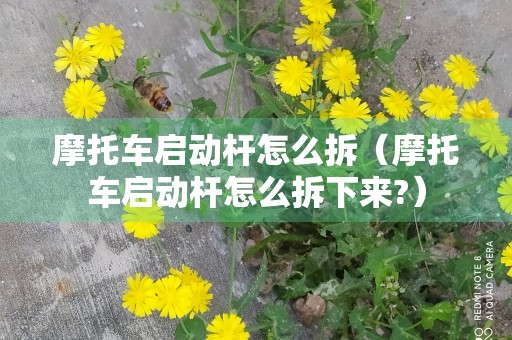 摩托车启动杆怎么拆（摩托车启动杆怎么拆下来?）