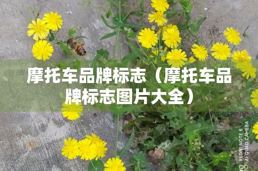 摩托车品牌标志（摩托车品牌标志图片大全）