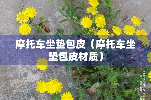 摩托车坐垫包皮（摩托车坐垫包皮材质）