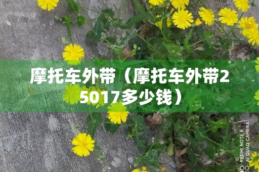 摩托车外带（摩托车外带25017多少钱）