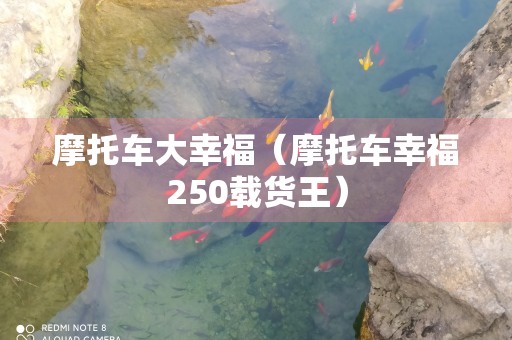 摩托车大幸福（摩托车幸福250载货王）