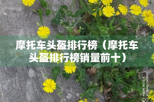 摩托车头盔排行榜（摩托车头盔排行榜销量前十）