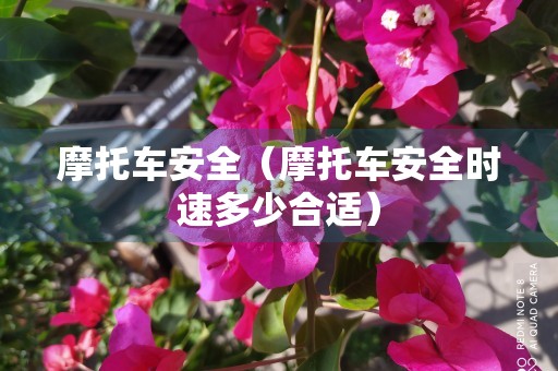 摩托车安全（摩托车安全时速多少合适）