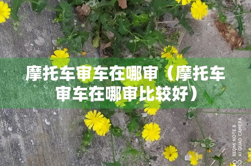 摩托车审车在哪审（摩托车审车在哪审比较好）