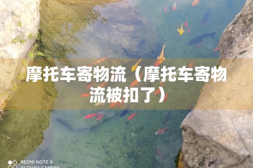 摩托车寄物流（摩托车寄物流被扣了）