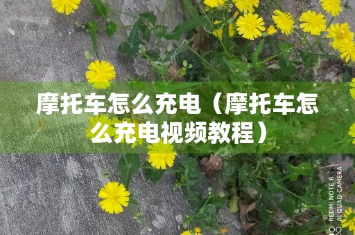 摩托车怎么充电（摩托车怎么充电视频教程）