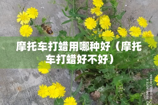 摩托车打蜡用哪种好（摩托车打蜡好不好）