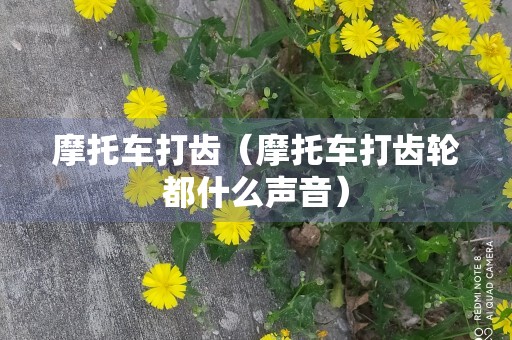 摩托车打齿（摩托车打齿轮都什么声音）