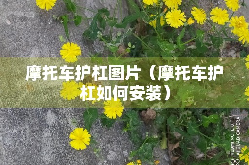 摩托车护杠图片（摩托车护杠如何安装）