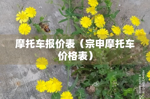 摩托车报价表（宗申摩托车价格表）