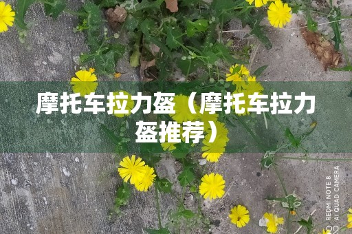 摩托车拉力盔（摩托车拉力盔推荐）