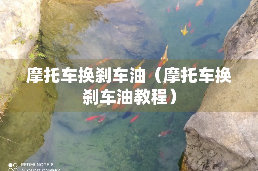 摩托车换刹车油（摩托车换刹车油教程）