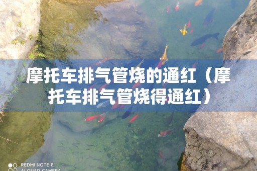 摩托车排气管烧的通红（摩托车排气管烧得通红）