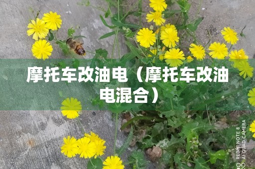 摩托车改油电（摩托车改油电混合）